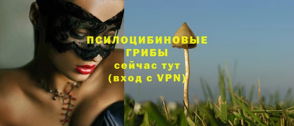 бутират Заводоуковск
