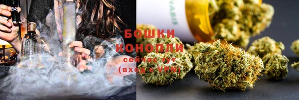трава Заволжск
