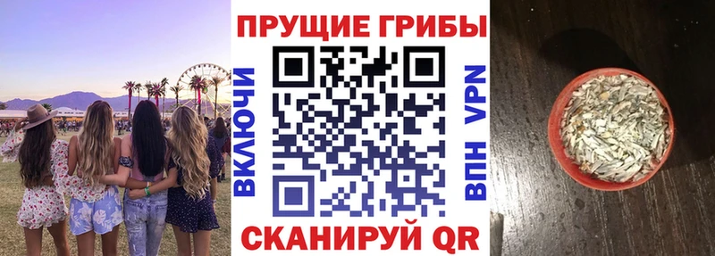 Псилоцибиновые грибы мицелий Лысьва